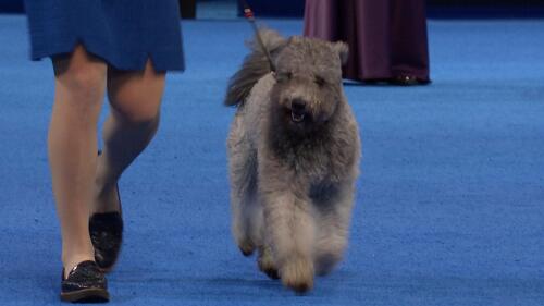 赛事转播权销售